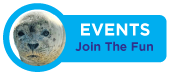 Events - Join the Fun